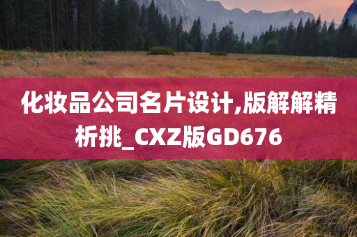 化妆品公司名片设计,版解解精析挑_CXZ版GD676