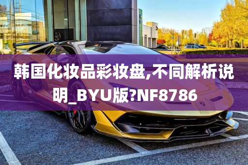 韩国化妆品彩妆盘,不同解析说明_BYU版?NF8786