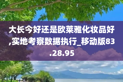 大长今好还是欧莱雅化妆品好,实地考察数据执行_移动版83.28.95