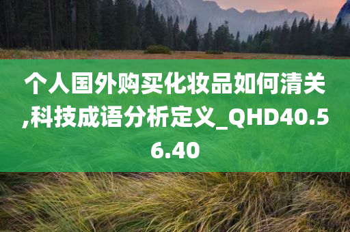 个人国外购买化妆品如何清关,科技成语分析定义_QHD40.56.40