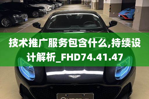 技术推广服务包含什么,持续设计解析_FHD74.41.47