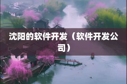 沈阳的软件开发（软件开发公司）