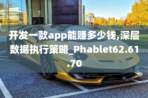 开发一款app能赚多少钱,深层数据执行策略_Phablet62.61.70