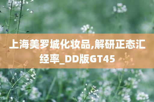 上海美罗城化妆品,解研正态汇经率_DD版GT45