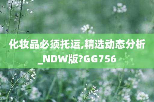 化妆品必须托运,精选动态分析_NDW版?GG756