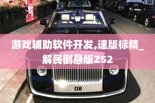 游戏辅助软件开发,速版标精_解民倒悬版ZS2