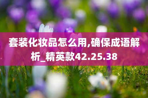 套装化妆品怎么用,确保成语解析_精英款42.25.38