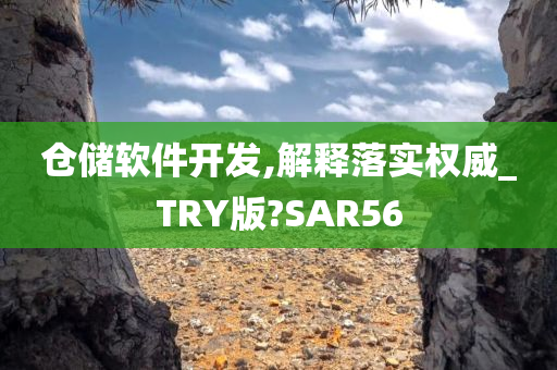 仓储软件开发,解释落实权威_TRY版?SAR56