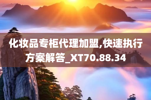 化妆品专柜代理加盟,快速执行方案解答_XT70.88.34