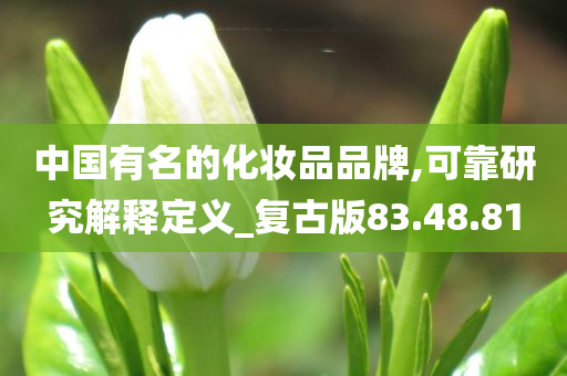 中国有名的化妆品品牌,可靠研究解释定义_复古版83.48.81