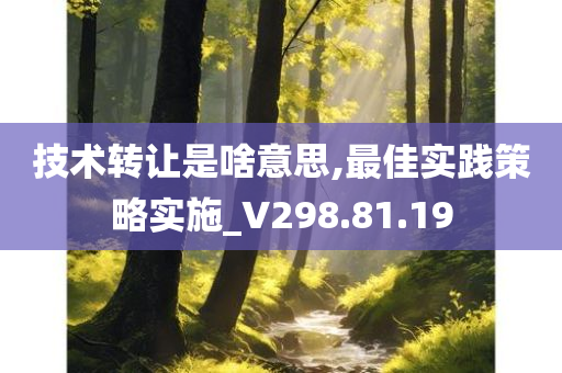 技术转让是啥意思,最佳实践策略实施_V298.81.19