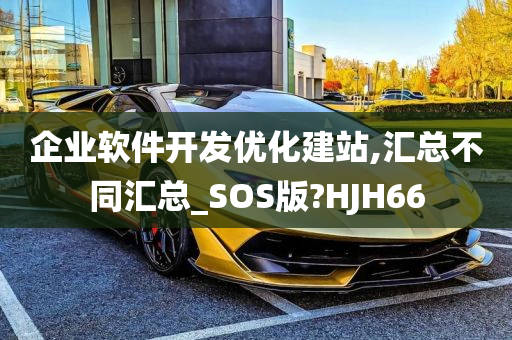 企业软件开发优化建站,汇总不同汇总_SOS版?HJH66