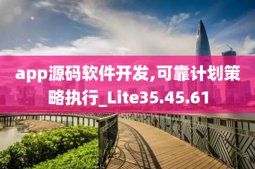 app源码软件开发,可靠计划策略执行_Lite35.45.61