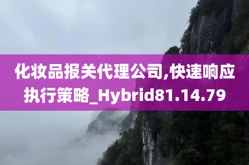 化妆品报关代理公司,快速响应执行策略_Hybrid81.14.79