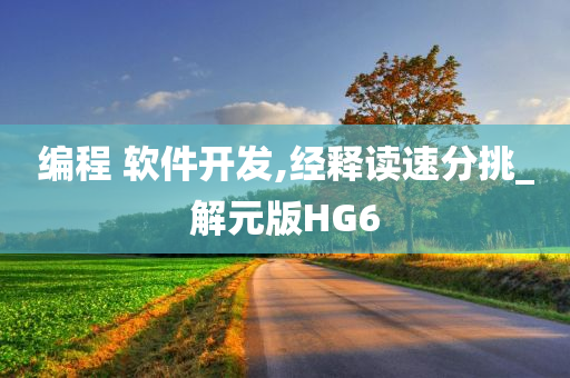 编程 软件开发,经释读速分挑_解元版HG6