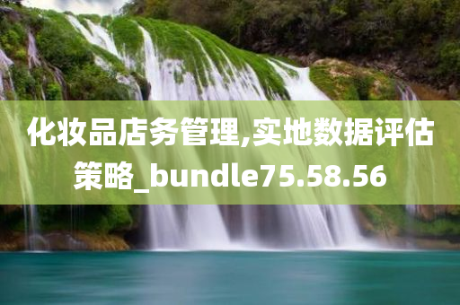 化妆品店务管理,实地数据评估策略_bundle75.58.56