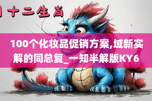 100个化妆品促销方案,域新实解的同总复_一知半解版KY6