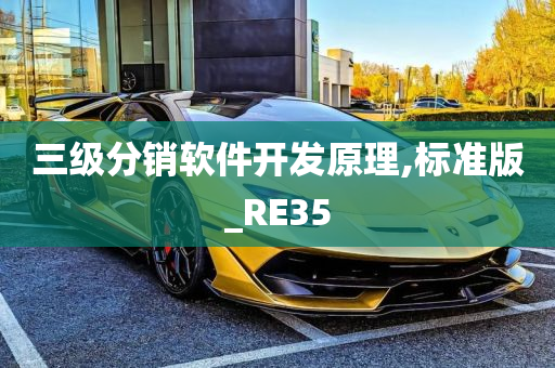 三级分销软件开发原理,标准版_RE35