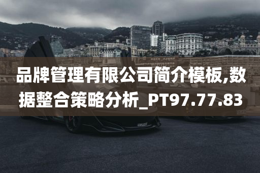 品牌管理有限公司简介模板,数据整合策略分析_PT97.77.83