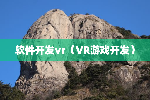 软件开发vr（VR游戏开发）