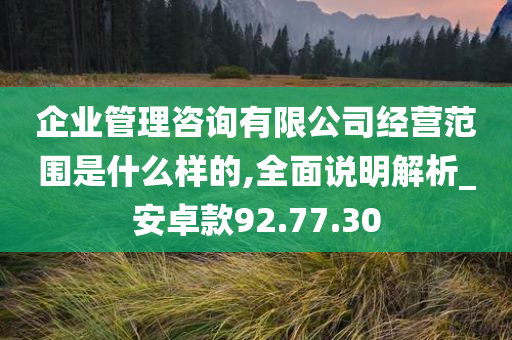 企业管理咨询有限公司经营范围是什么样的,全面说明解析_安卓款92.77.30