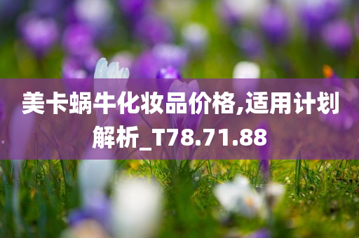 美卡蜗牛化妆品价格,适用计划解析_T78.71.88