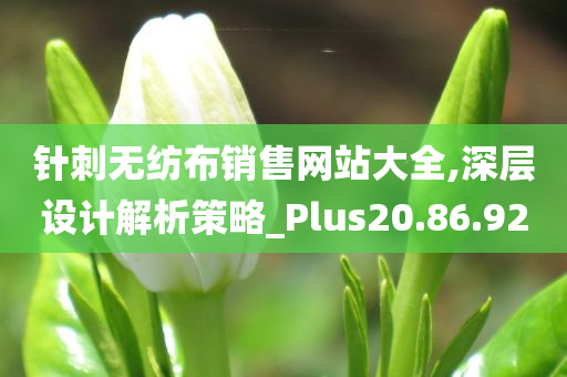 针刺无纺布销售网站大全,深层设计解析策略_Plus20.86.92