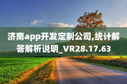 济南app开发定制公司,统计解答解析说明_VR28.17.63