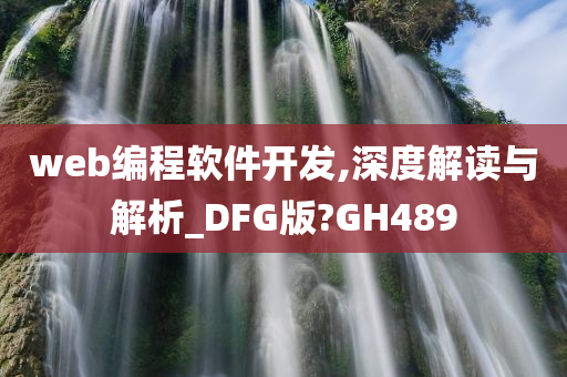 web编程软件开发,深度解读与解析_DFG版?GH489