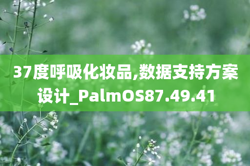 37度呼吸化妆品,数据支持方案设计_PalmOS87.49.41