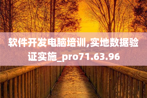 软件开发电脑培训,实地数据验证实施_pro71.63.96