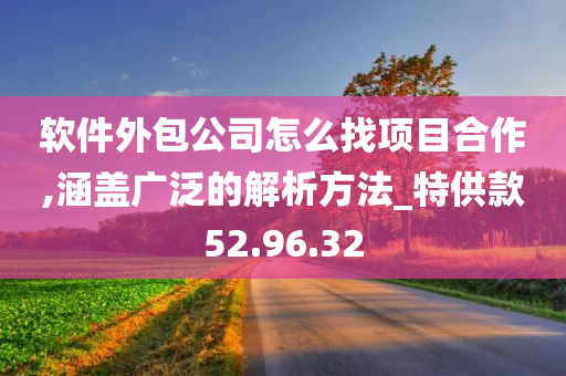 软件外包公司怎么找项目合作,涵盖广泛的解析方法_特供款52.96.32