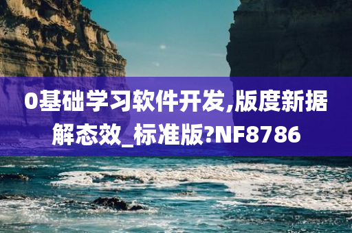 0基础学习软件开发,版度新据解态效_标准版?NF8786