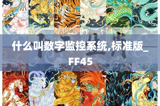 什么叫数字监控系统,标准版_FF45