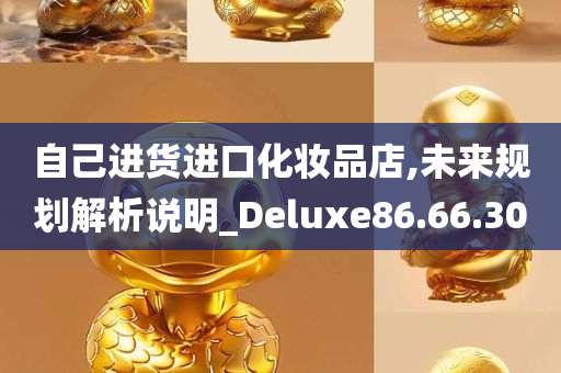 自己进货进口化妆品店,未来规划解析说明_Deluxe86.66.30