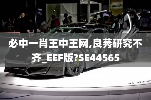 必中一肖王中王网,良莠研究不齐_EEF版?SE44565