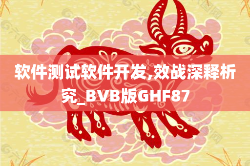 软件测试软件开发,效战深释析究_BVB版GHF87