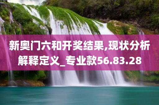 新奥门六和开奖结果,现状分析解释定义_专业款56.83.28