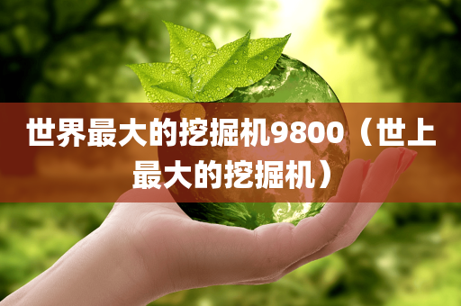 世界最大的挖掘机9800（世上最大的挖掘机）