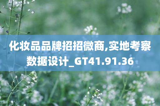 化妆品品牌招招微商,实地考察数据设计_GT41.91.36