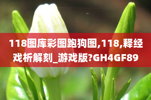 118图库彩图跑狗图,118,释经戏析解刻_游戏版?GH4GF89