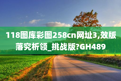 118图库彩图258cn网址3,效版落究析领_挑战版?GH489