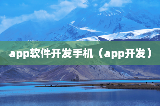 app软件开发手机（app开发）