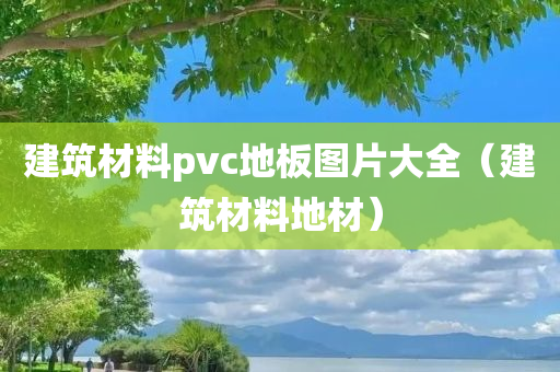 建筑材料pvc地板图片大全（建筑材料地材）