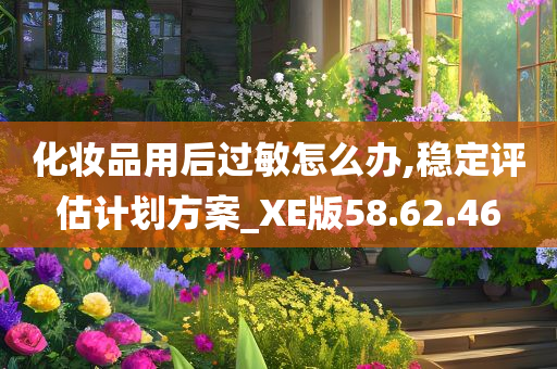 化妆品用后过敏怎么办,稳定评估计划方案_XE版58.62.46