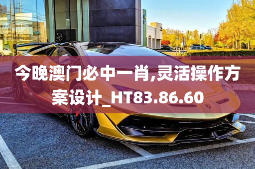 今晚澳门必中一肖,灵活操作方案设计_HT83.86.60