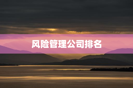 风险管理公司排名