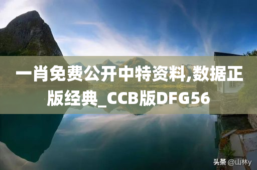 一肖免费公开中特资料,数据正版经典_CCB版DFG56