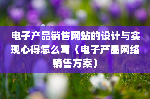 电子产品销售网站的设计与实现心得怎么写（电子产品网络销售方案）