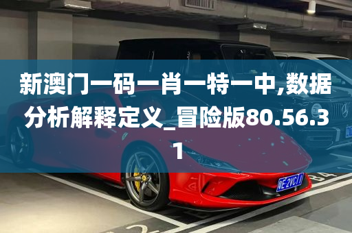 新澳门一码一肖一特一中,数据分析解释定义_冒险版80.56.31